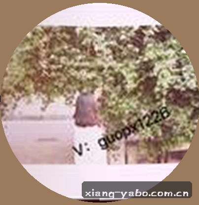 王涛
